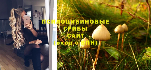гидропоника Верея