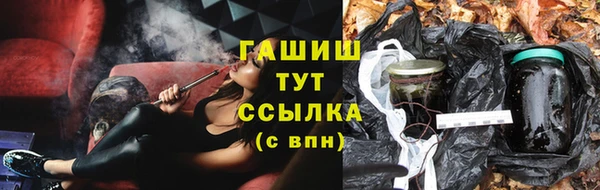 гидра Весьегонск