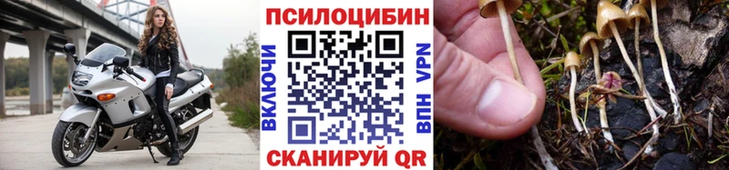 Псилоцибиновые грибы прущие грибы  купить наркотик  Гулькевичи 